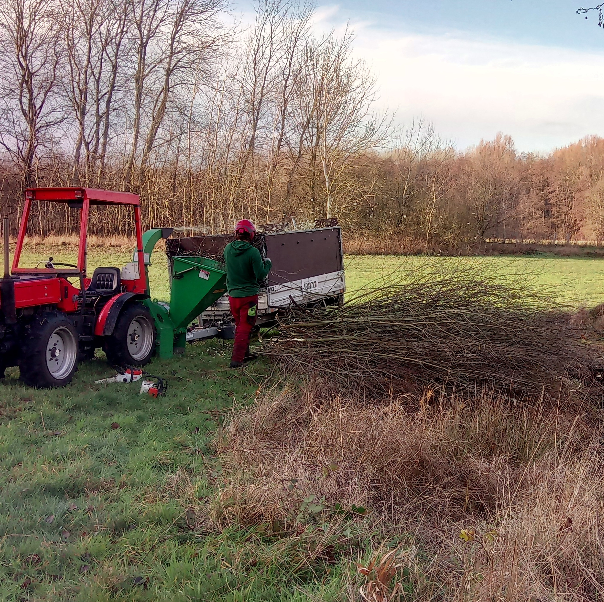 Landschaftspflege und Forstdienstleistungen in Friesland und Osnabrück