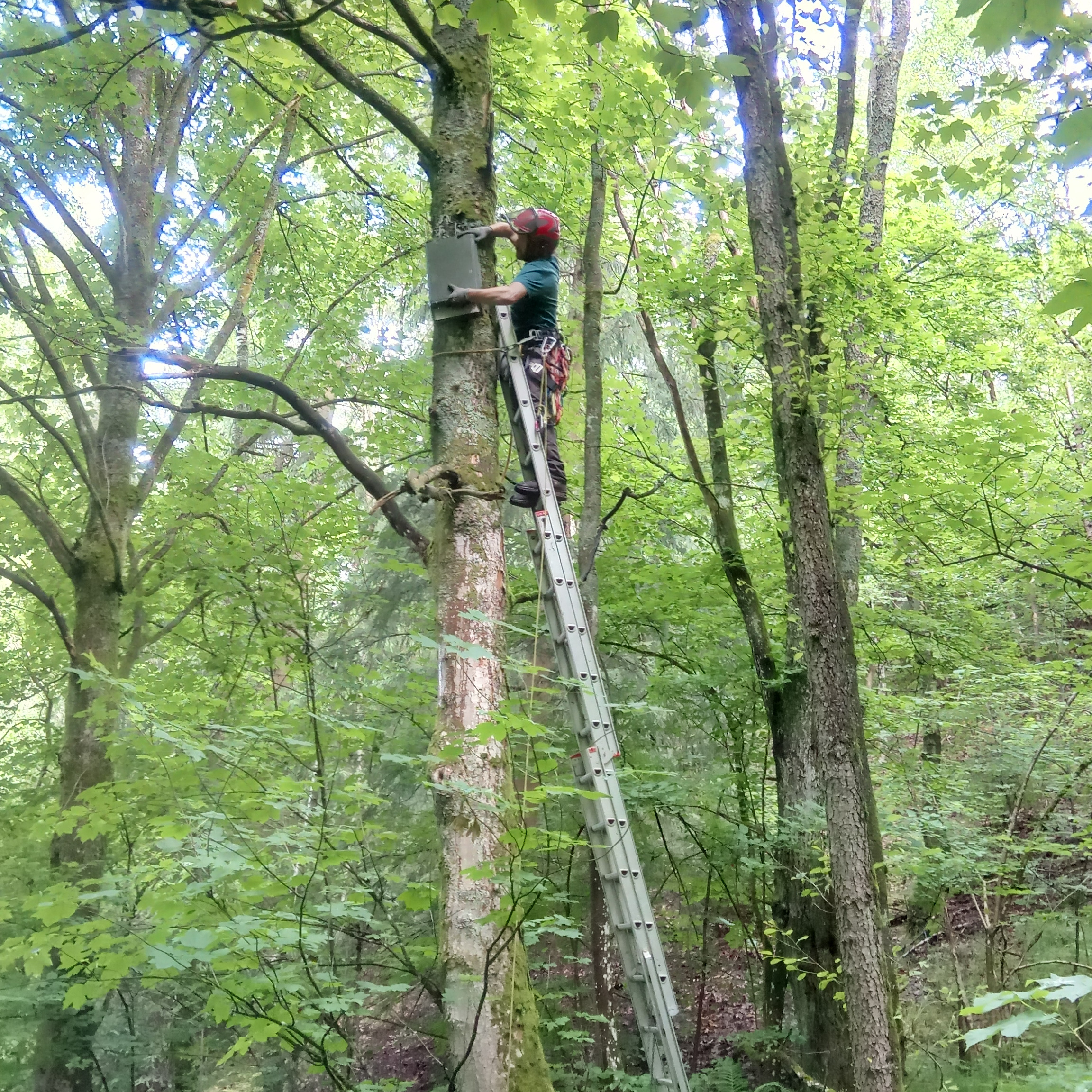 Naturschutz und Artenschutz in Friesland und Osnabrück