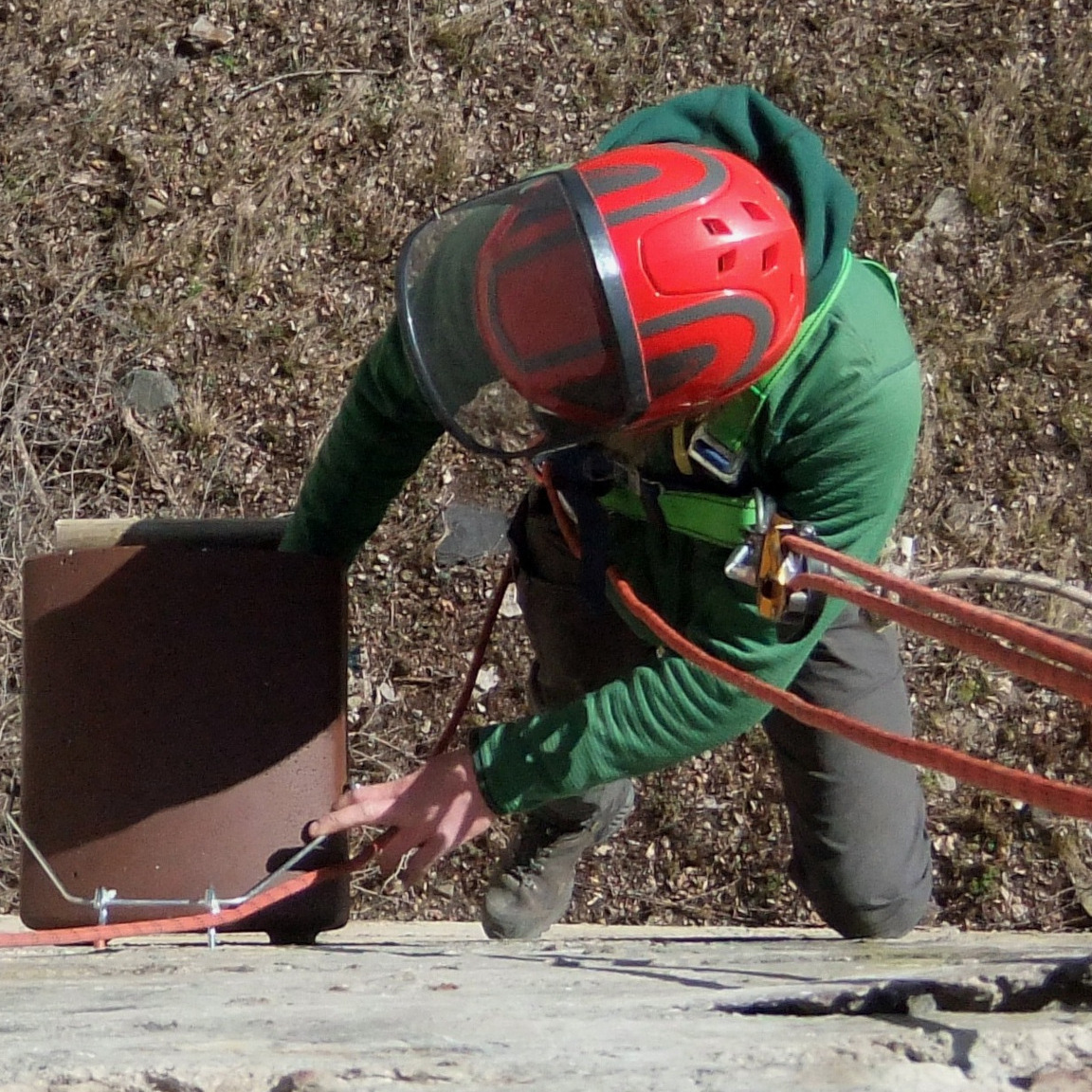 Nistmöglichkeit für einen Turmfalken